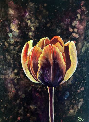 Magisch leuchtende Tulpe 3